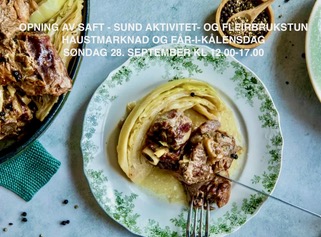 Søndag 28. september kl 12.00 opner vi dørene til  SAFT – Sund aktivitet- og fleirbrukstun!